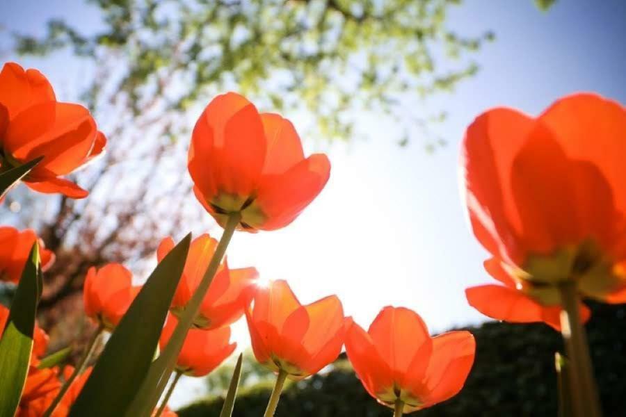 Вілла Zon&Zee Vakanties Duinzigt Нордвейкергаут Екстер'єр фото